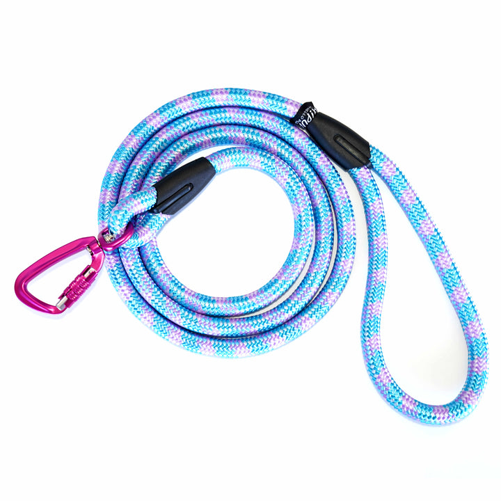 Pink and blue dog leash with locking carabiner.  Safe leash for your unique, adventurous dog. 