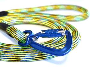 Blue locking carabiner on green leash for your dog.  Safe leash for your unique, adventurous dog. 